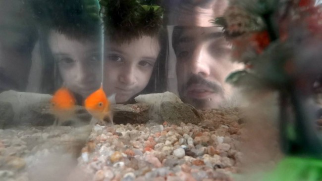 foto Buscando a Myu