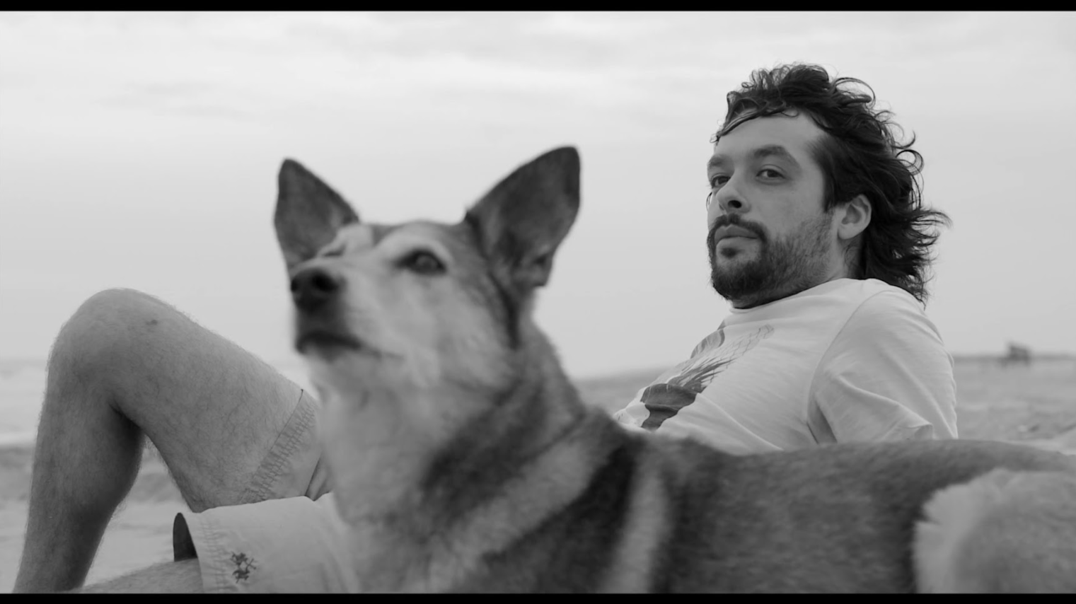foto El perro que no calla