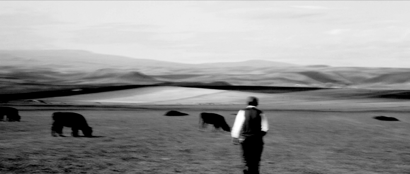 foto Here there is no earth