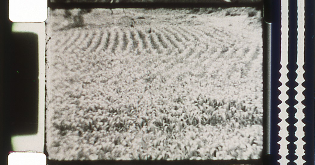 Causachum Cuzco foto