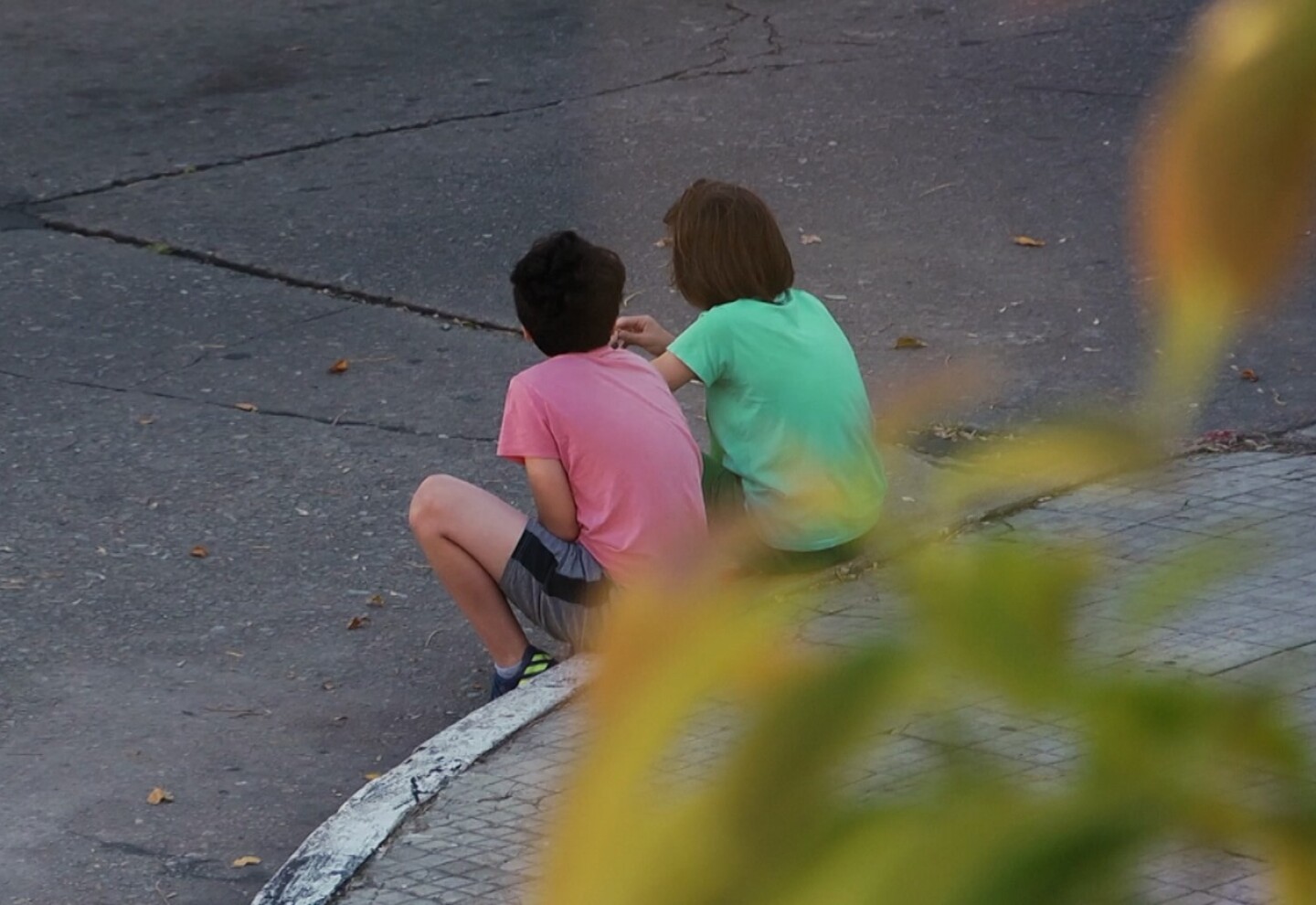 Ni siquiera las flores foto